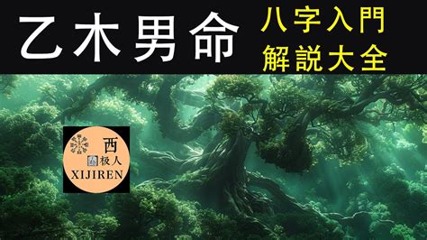 乙木命格|十天干命主白話解說